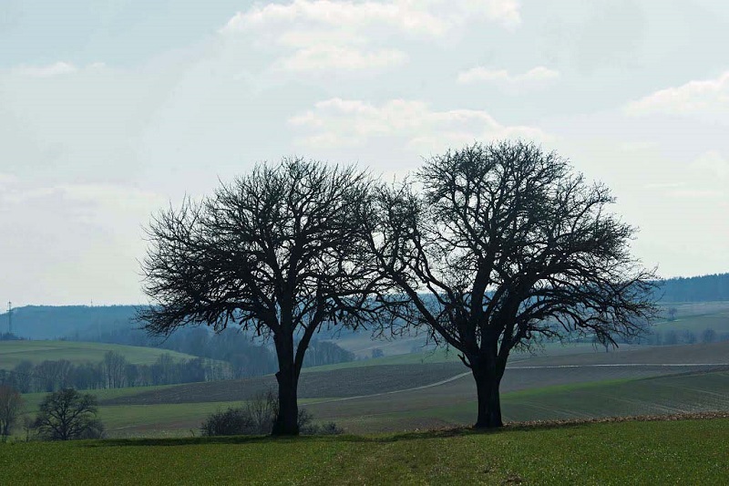 Adersbach Landscape