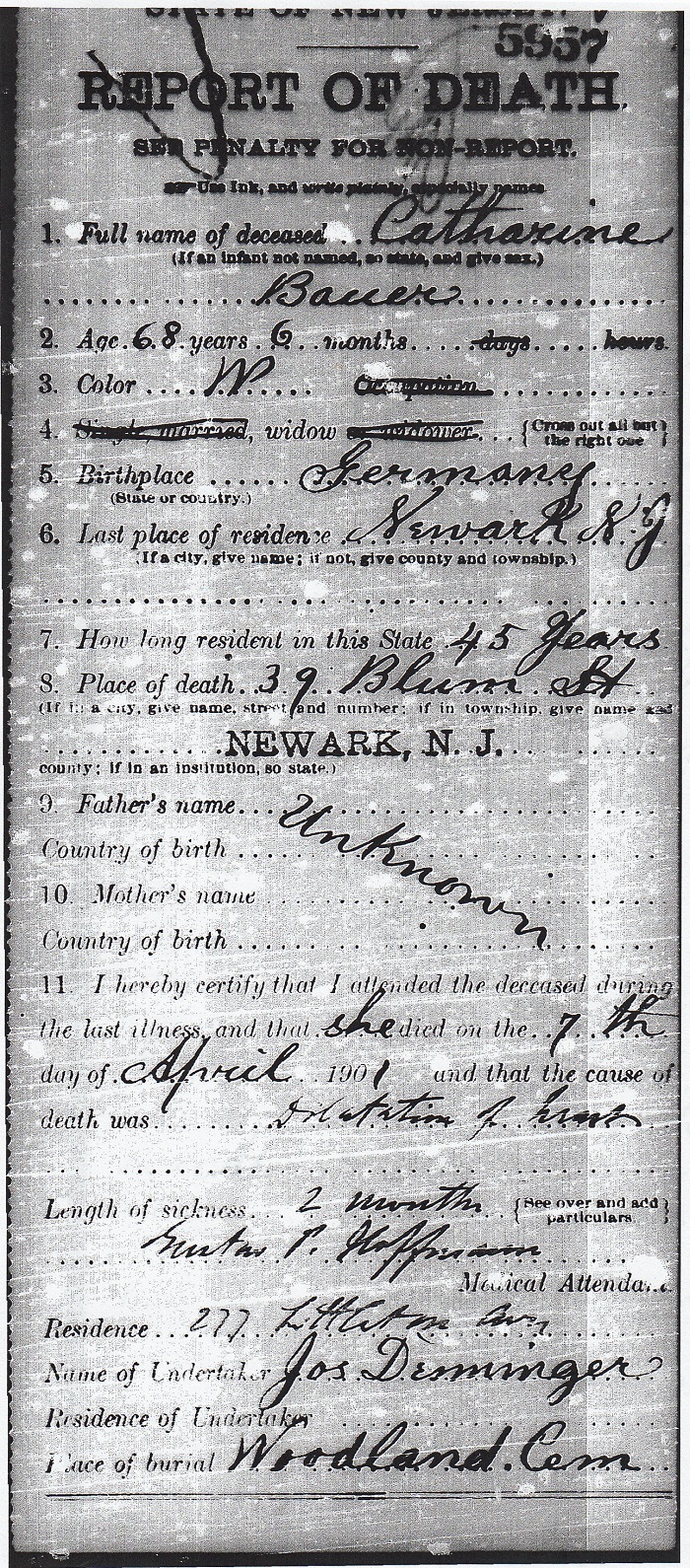 Catharine Horn Bauer Death Certificate