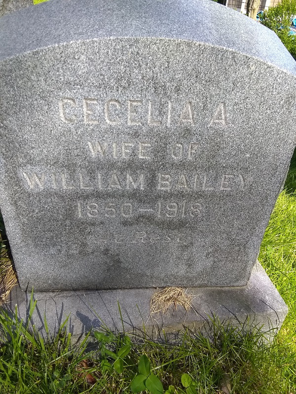 The Saint John's Cemetery Grave Markers of William and Cecelia Bailey