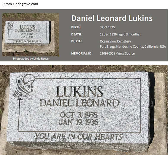 Daniel Leonard Lukins Cemetery Record