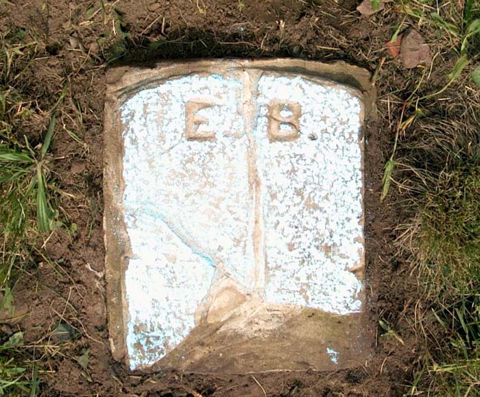 The Woodland Cemetery Grave Marker of Emma Kraus Bauer