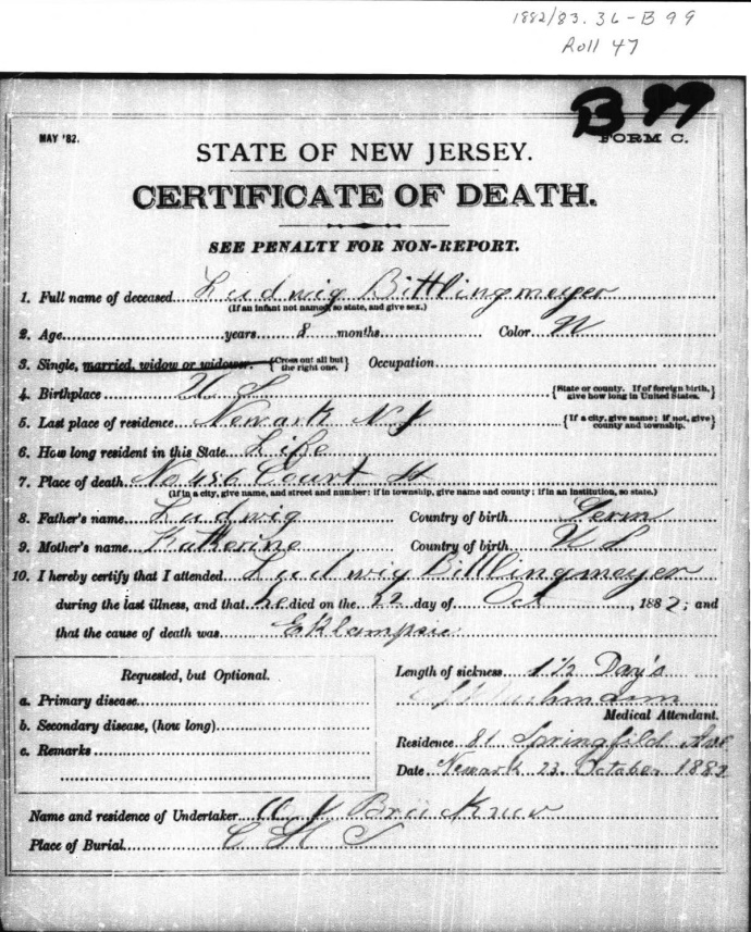 Louis Bittlingmeier Death Certificate