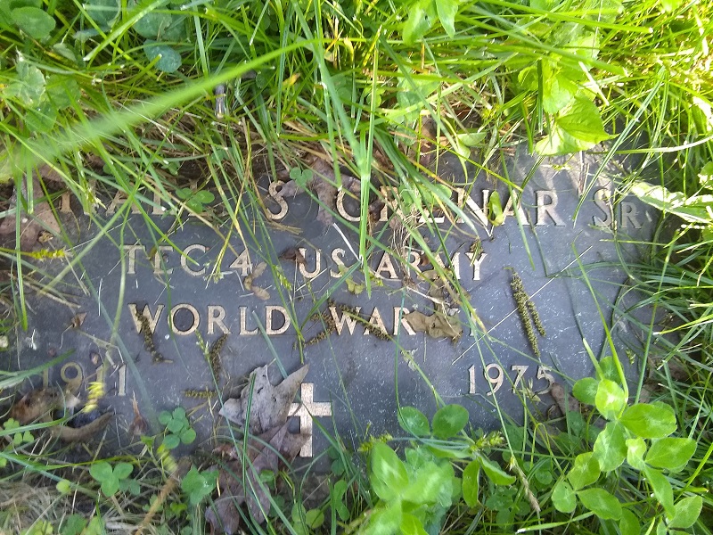 The Saint John's Cemetery Grave Marker of Michael Grznar