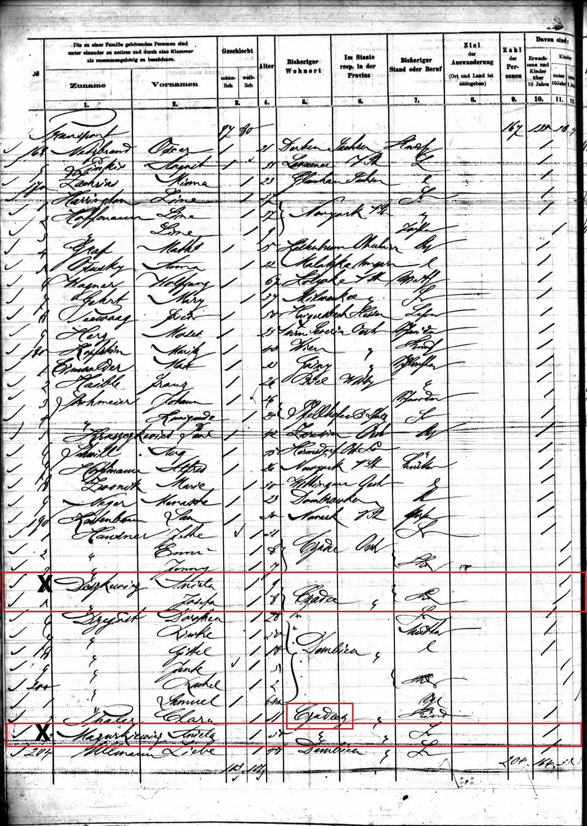 Aniela Mazurkiewicz Passenger List 1896